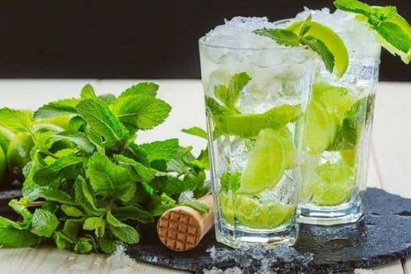 فروش عرق نعنا شیشه ای + قیمت خرید به صرفه